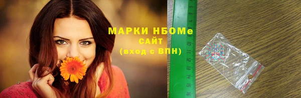 прущая мука Инсар