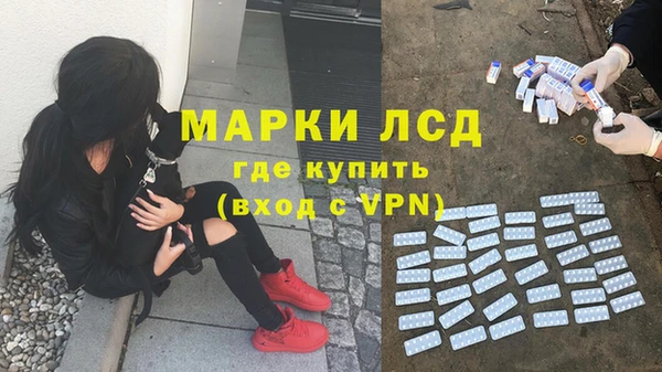 прущая мука Инсар