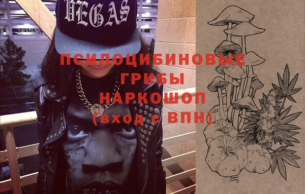 молекула духа Иннополис