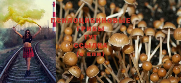 а пвп мука Инта