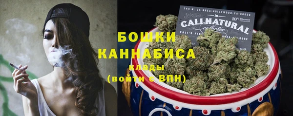 молекула духа Иннополис